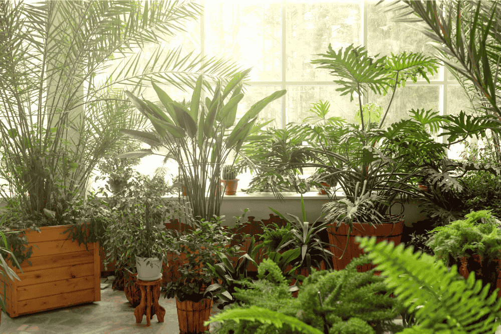 Indoor Garden with Artificial Plants