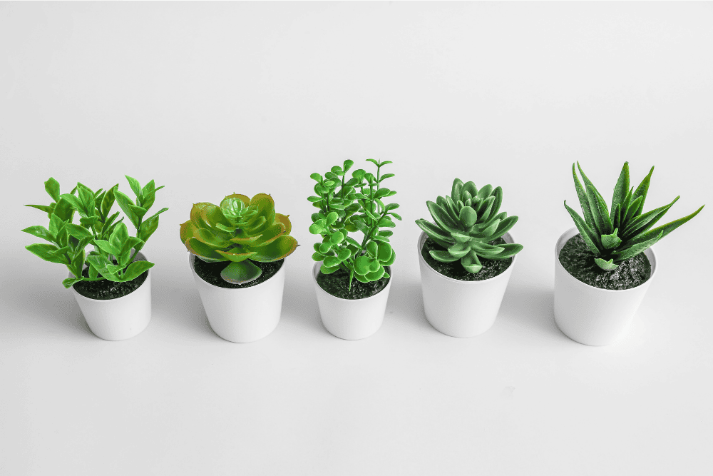Low Maintenance Artificial Plants