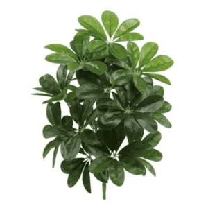Artificial Schefflera Plant