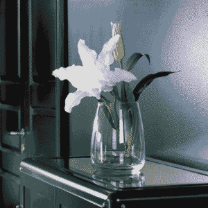 Clear Glass Tulip Vase