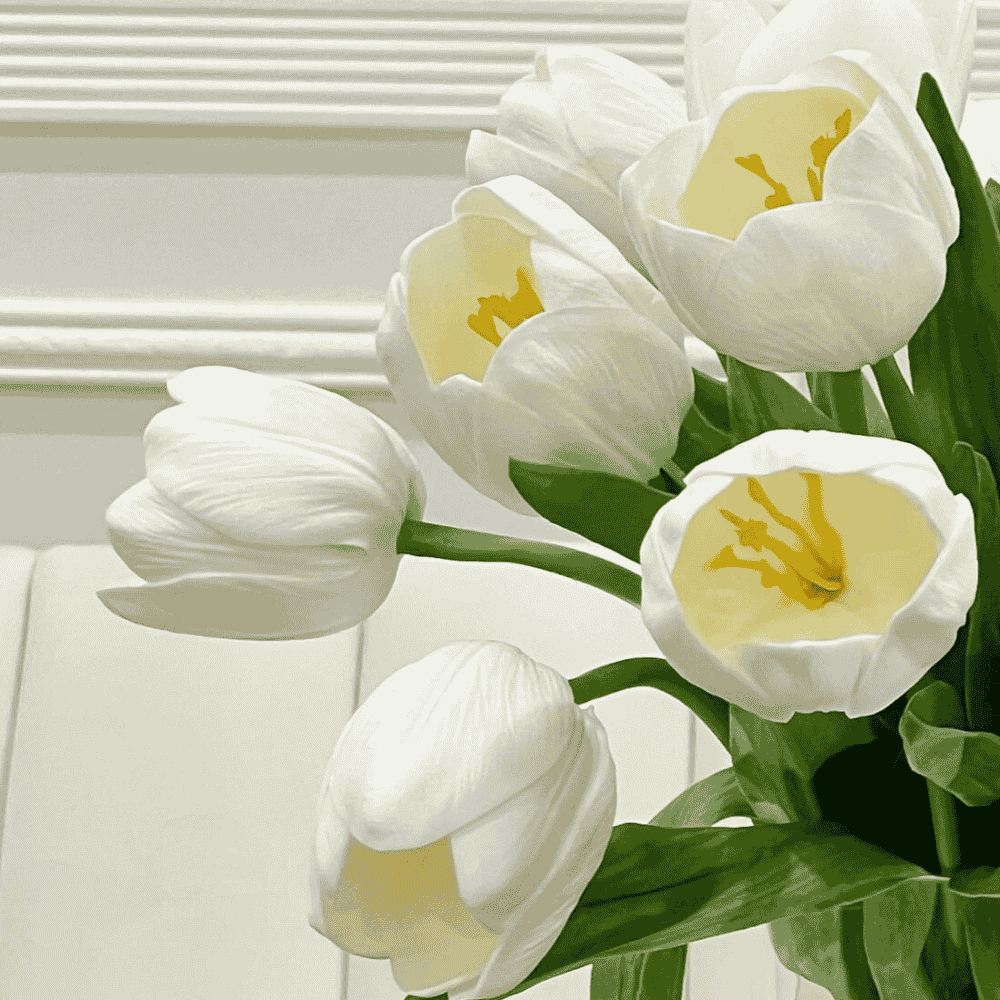 Large Tulip Bouquet – 5 white tulips